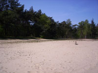 Wat een grote zandbak is dit
